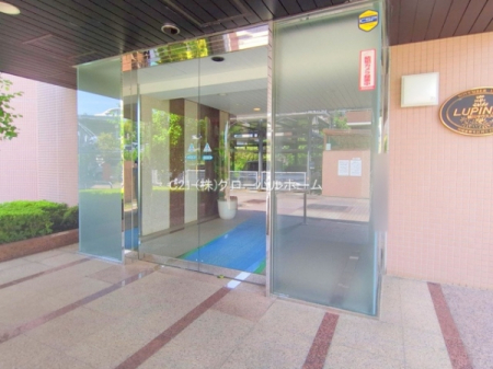 �G���g�����X�@-