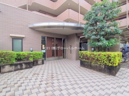 �G���g�����X�@-