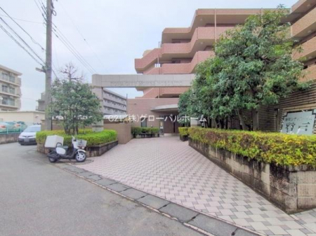 �G���g�����X�@-