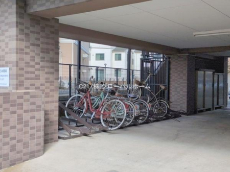 ���̑����p���@-