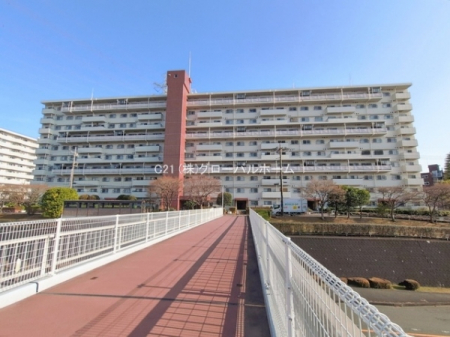 ���̑����n�@-