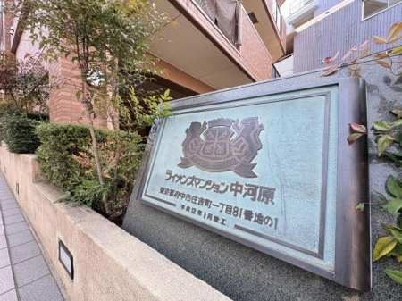 ���̑����n�@-