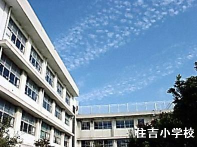 ���ӊ��@-