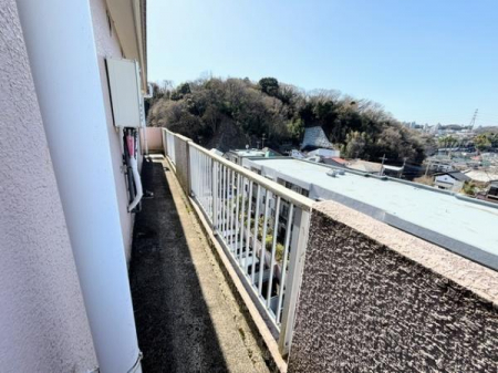 �o���R�j�[�@-