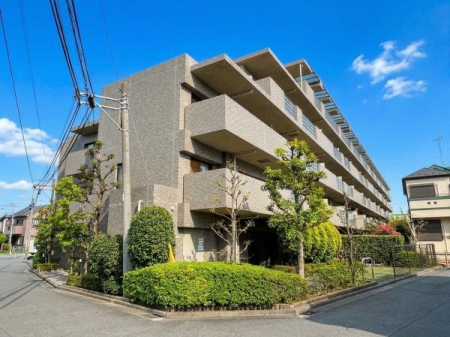 ���̑����n�@-