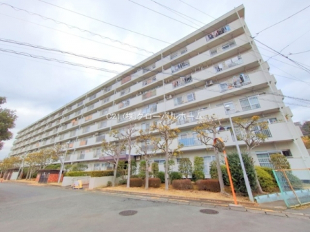 ���̑����n�@-