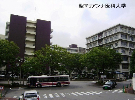 ���ӊ��@-