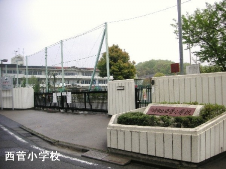 ���ӊ��@-