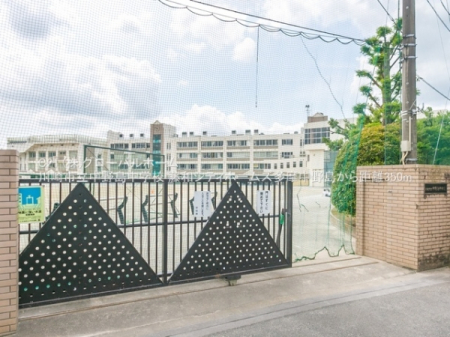 ���ӊ��@-