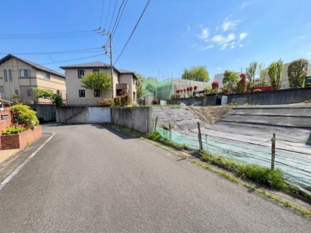 ���n�y�n�ʐ^�@-