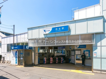���ӊ��@-