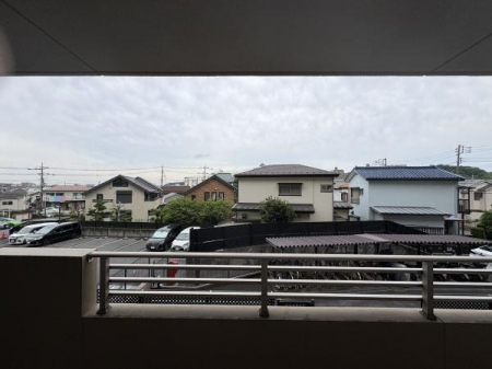 �Z�˂���̒��]�ʐ^�@-