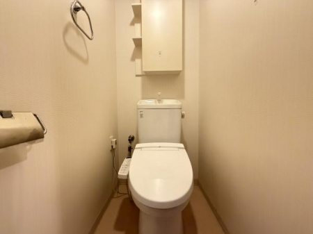 �g�C���@-