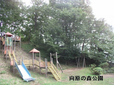 ���ӊ��@-