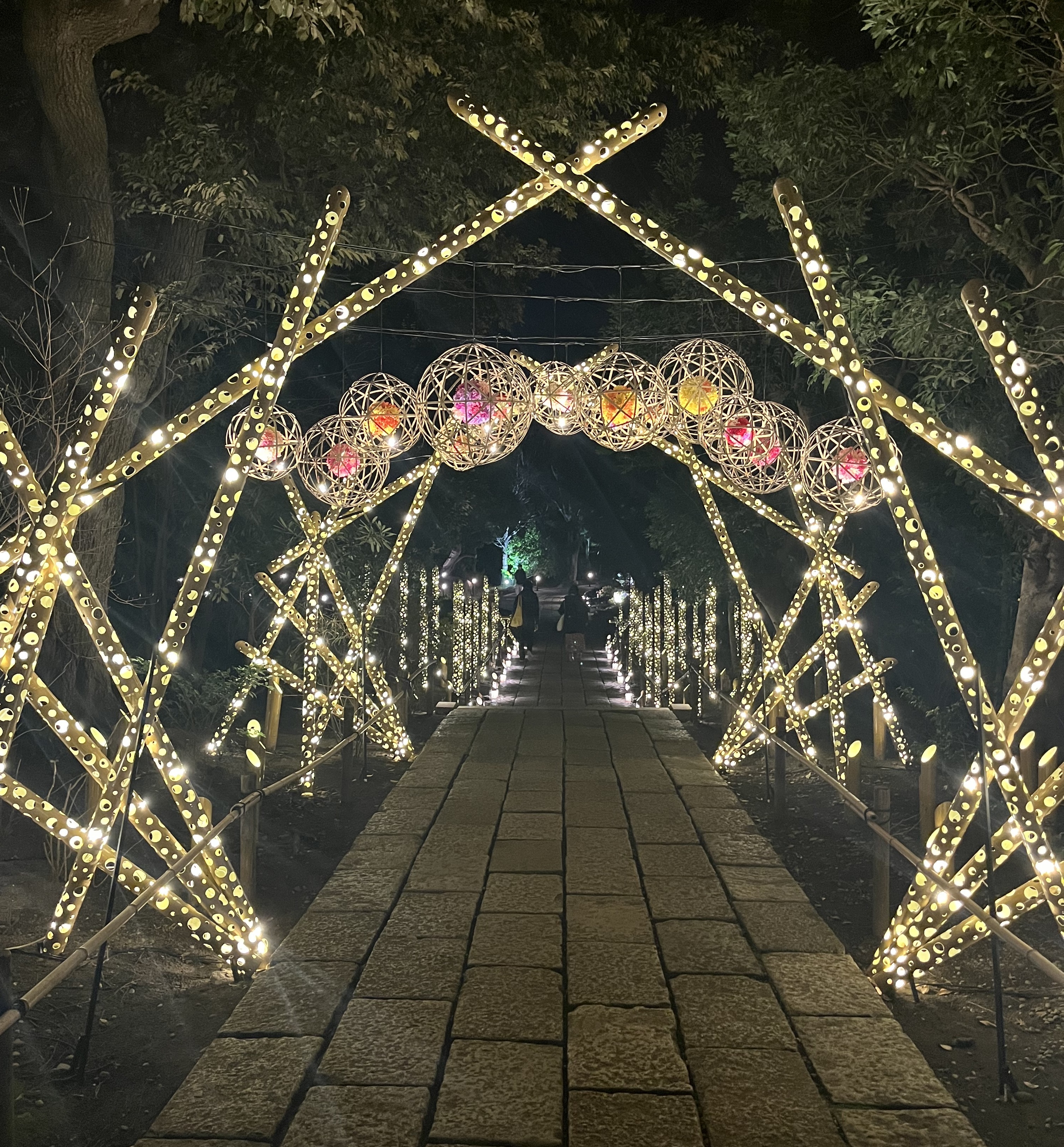 稲城市矢野口「HANA・BIYORI」の庭園（夜景）